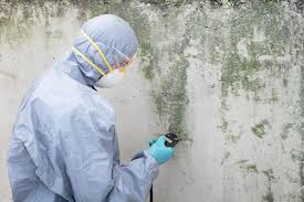 Best Forensic Mold Investigation in Country Clu, MO